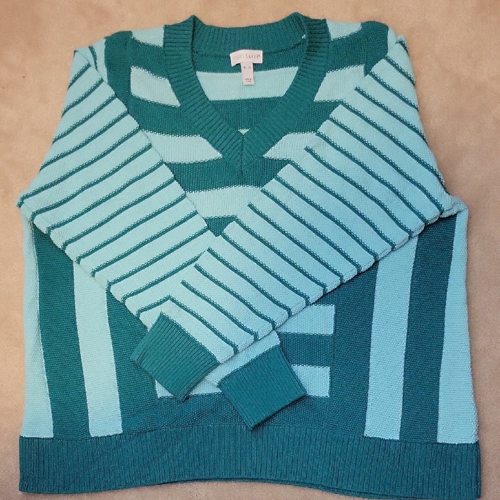 Sport Savvy V-Neck Sweater in Teal and Light Blue